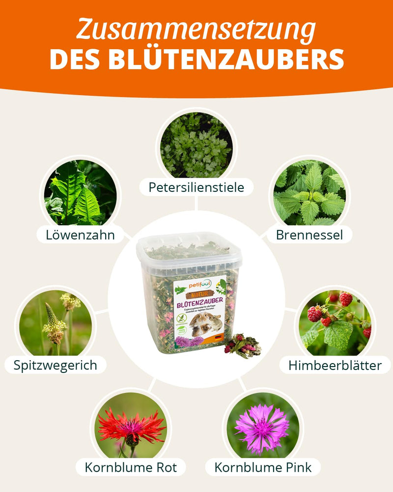 petifool Blumenzauber 360g - supplementary food for rodents - natural rodent food for rabbits, guinea pigs, hamsters, chinchillas & more - without artificial additives - 100% natural - species-appropriate food 360g (pack of 1) - BeesActive Australia