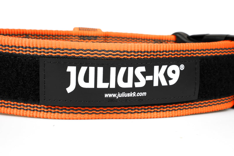 Julius-K9 Color & Gray Collar with Handle, Safety Clasp and Interchangeable Patch, 40mm (38-53cm), Orange-Grey with Handle 40mm (38-53cm) - BeesActive Australia