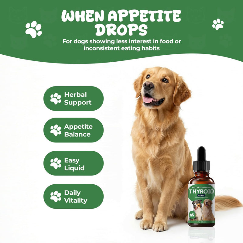 Thyroid Support for Dogs, Herbal Appetite Stimulant & Metabolism Support Drops with Bladderwrack, Astragalus & Nettle Leaf, Helps Maintain Healthy Weight, Energy & Daily Vitality, 2 fl oz