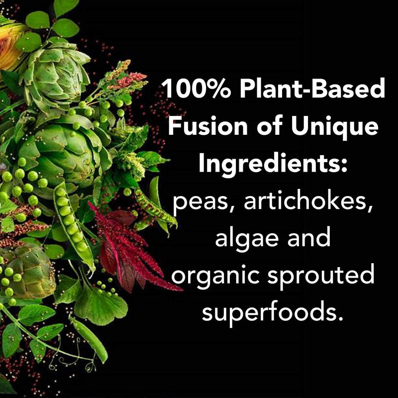 PlantFusion Complete Vegan Protein Powder Sample Packets - Plant Based Protein Powder Packets to-Go with BCAAs and Pea Protein - Keto, Gluten Free, Non-Dairy, No Sugar (Vanilla Pack of 4) Vanilla 4.24 Ounce (Pack of 1) - BeesActive Australia