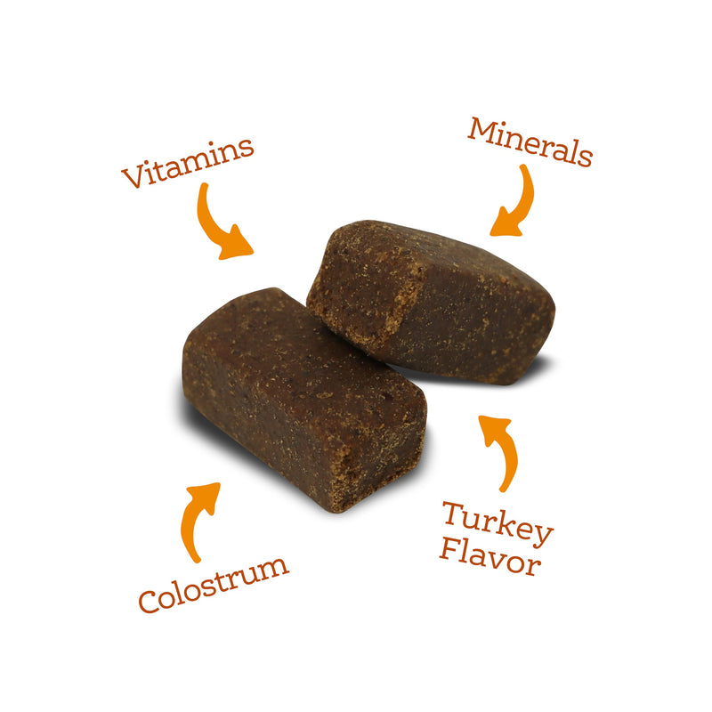 NutriSource AmpliFull Turkey Flavor Multivitamin Soft Chews for Dogs, Daily Supplement with Bovine Colostrum, Essential Vitamins & Minerals for Overall Health, 70 Chews (1 Pack) Multivitamin - Turkey