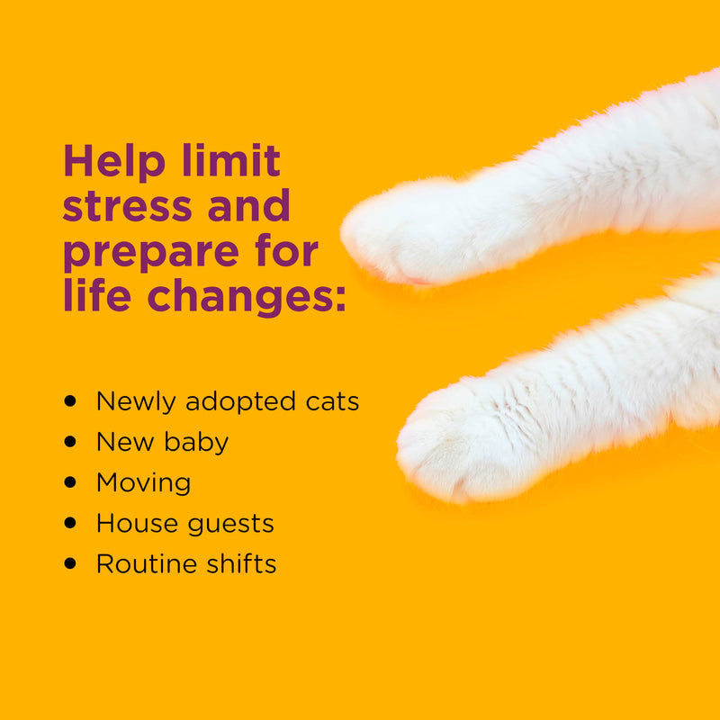 Comfort Zone 60 Day Starter Kit: 1 Cat Calming Diffuser & 2 Refills; Cat Pheromones Help Anxiety; Reduce Stress,Urine Marking,Scratching,(Pack of 2)