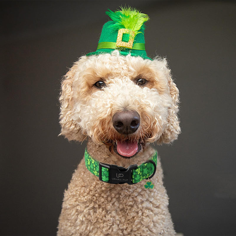 St. Patrick's Day Dog Collar, Lucky Clover Pet Collar with Quick Release, Comfortable Adjustable Shamrock Puppy Collar for Small Medium & Large Dogs XS BicolorShamrock CC - BeesActive Australia