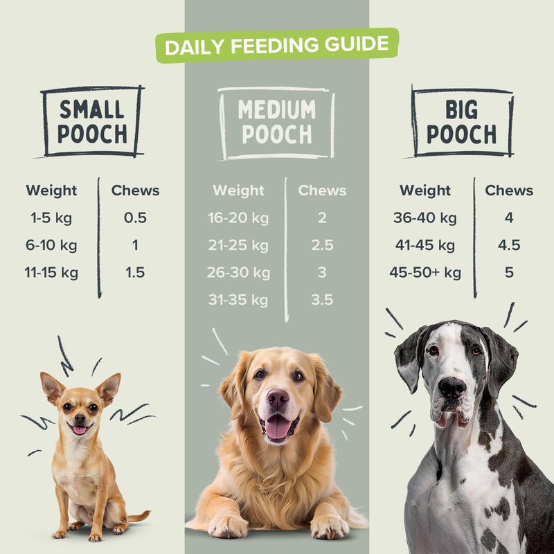 Multi-Vitamins & Minerals Soft Chew Dog Supplements – 21 Essential Nutrients for Daily Health, Energy, Joints, Skin & Coat with Omega 3 EPA & DHA – 60 Soft Chews 60 Chews