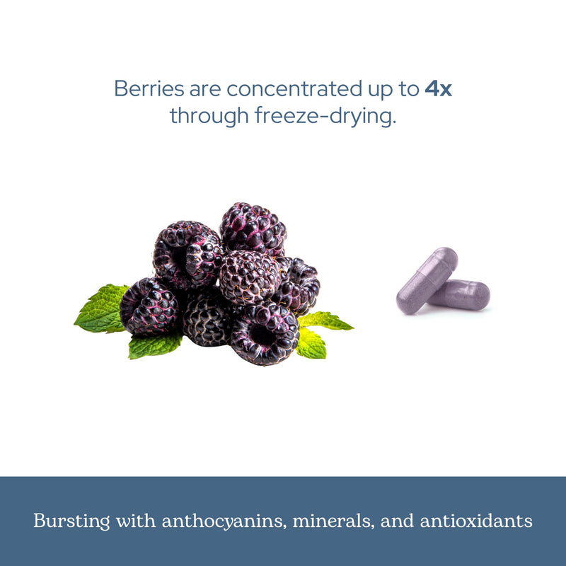 Eclectic Herb - Black Raspberry Capsules | Vegan Superfood Supplement | Nutrition, Vitamins + Minerals | Antioxidant + Immune Support | US-Grown, Natural, Non-GMO, Gluten Free (90 CT | 300 mg)