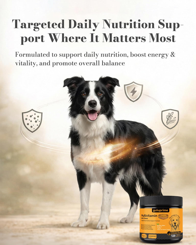 5-in-1 Advanced Multivitamin for Dogs - Daily Dog Vitamins with 1 Billion Probiotics, CoQ10, Lutein & Omega 3 - Skin, Coat, Heart, Eye & Gut Health Supplement - 120 Chews Chicken