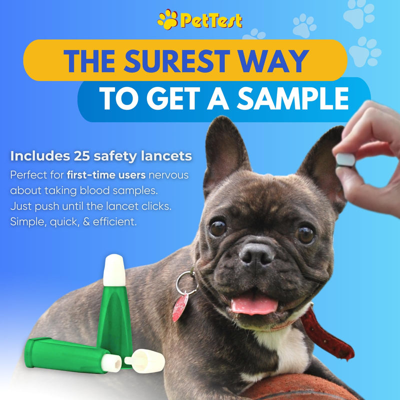 PetTest Beginner Glucose Monitoring Kit for Dogs & Cats, Diabetic Pet Blood Sugar Check Gear, Includes Classic Meter, 25 Test Strips, 25 Safety Lancets, Soft Carrying Case, and More Classic Meter Beginner Kit