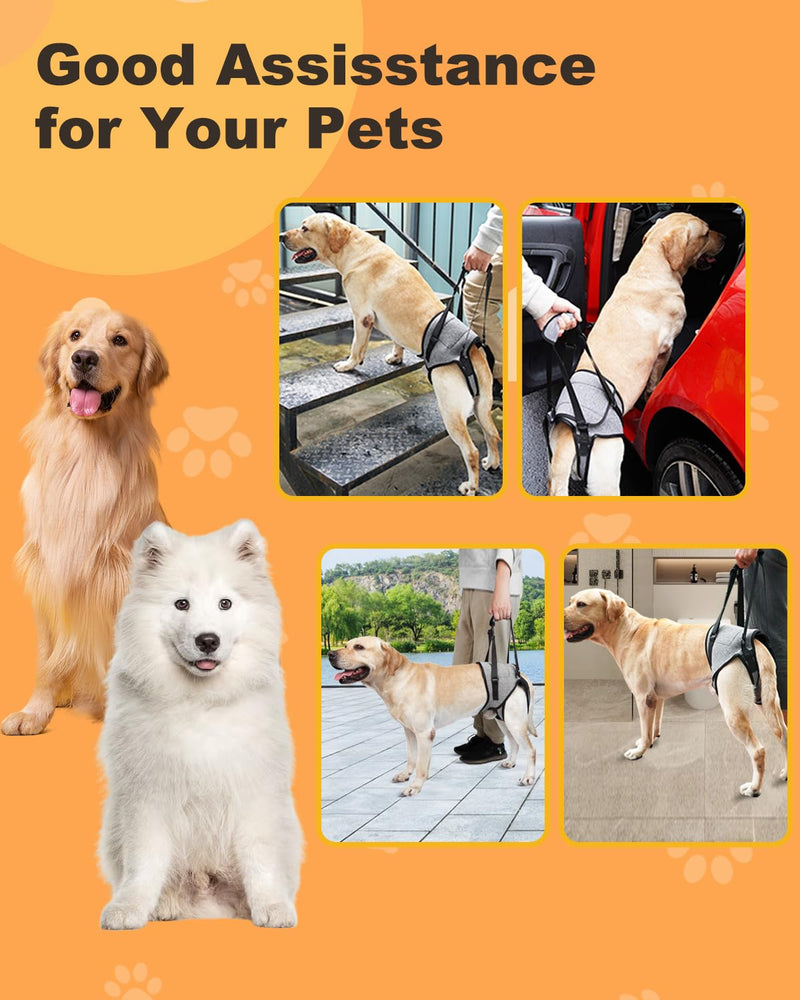 Dog Lift Harness Medium Sized Dogs, Sling for Medium Dogs Back Legs, Adjustable Soft Padded Dog Support Harness for Back Legs for Elderly, Injured, Arthritic, Disabled Dogs, M - BeesActive Australia