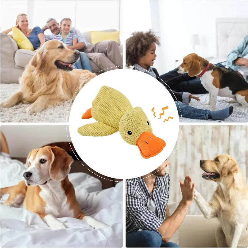 Mellow Dog Calming Duck, Quack-Quack Duck Dog Toy, The Mellow Dog Duck, Calming Duck Dog Toy, The Mellow Dog Calming Pillow, Yellow Stuffed Duck Dog Chew Toys with Quacking for Dogs Indoor Puppy - BeesActive Australia