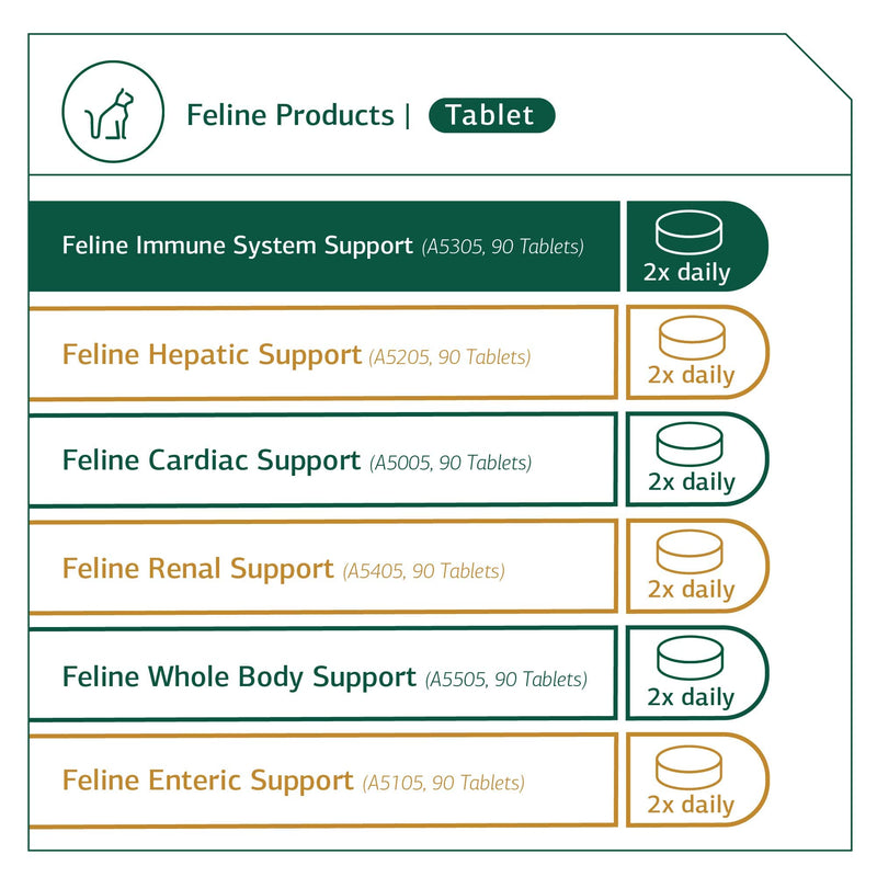 Standard Process Feline Immune System Support - Nutritional Supplement for Feline Immune Health Support - Cat Supplement Tablets to Aid Healthy Immune Cells & Tissue - 90 Tablets - BeesActive Australia