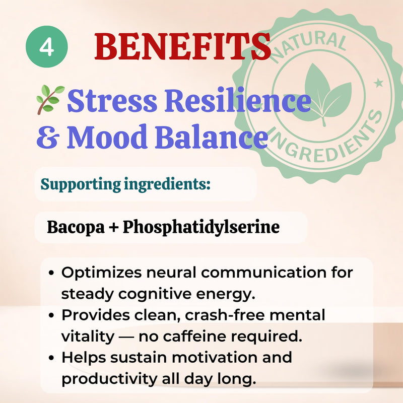 Sun Vitals Core Mind – Nootropic Brain Supplement for Focus, Memory & Mental Clarity | DMAE, Bacopa Monnieri, Phosphatidylserine & Huperzine A | Non-Stimulant, Caffeine-Free | 60 Capsules