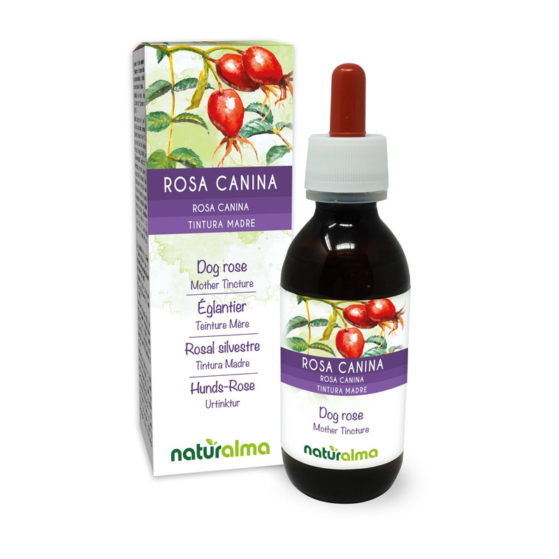 Dog Rose (Rosa canina) Fruits Alcohol-Free Mother Tincture Naturalma - Rich in Vitamin C - Liquid Extract Drops 120 ml - Food Supplement - Vegan 120 ml (Pack of 1)