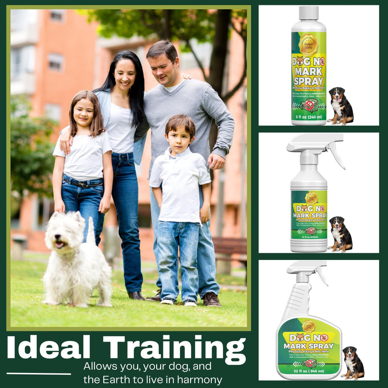 16oz Dogs No Wrong Pee Spray - Dog Training Solution for Housebreaking - No Marking Indoor Solution - Housebreaking Aid - No Pee No Mark Spray 18.6 Fl Oz