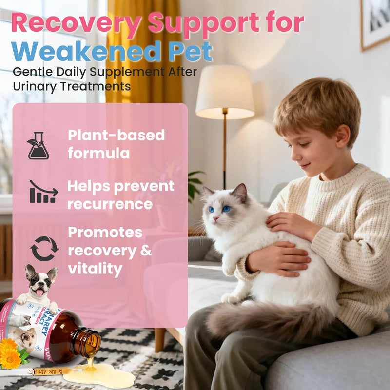 Cat UTI Treatment,Dog Urinary Tract Infection Drops, Renal Health for Cats Pets - Kidney Support,Bladder Control for Dogs Incontinence - Cat UTI Remedy Cranberry & D-Mannose (1 Pack) 1 Pack