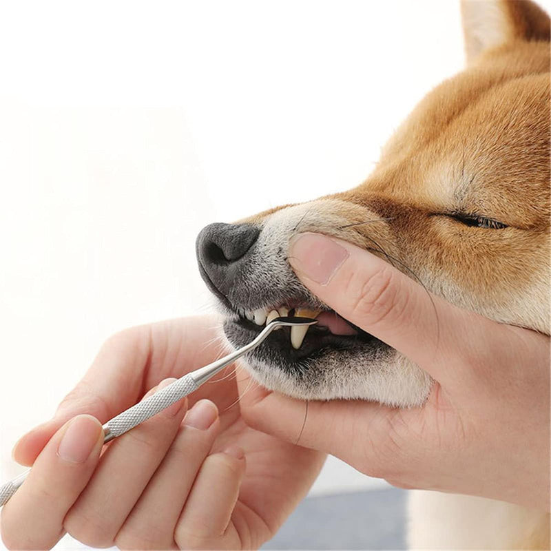 Symphonyw Calculus Stainless Steel Dog Remover, Pack of 2