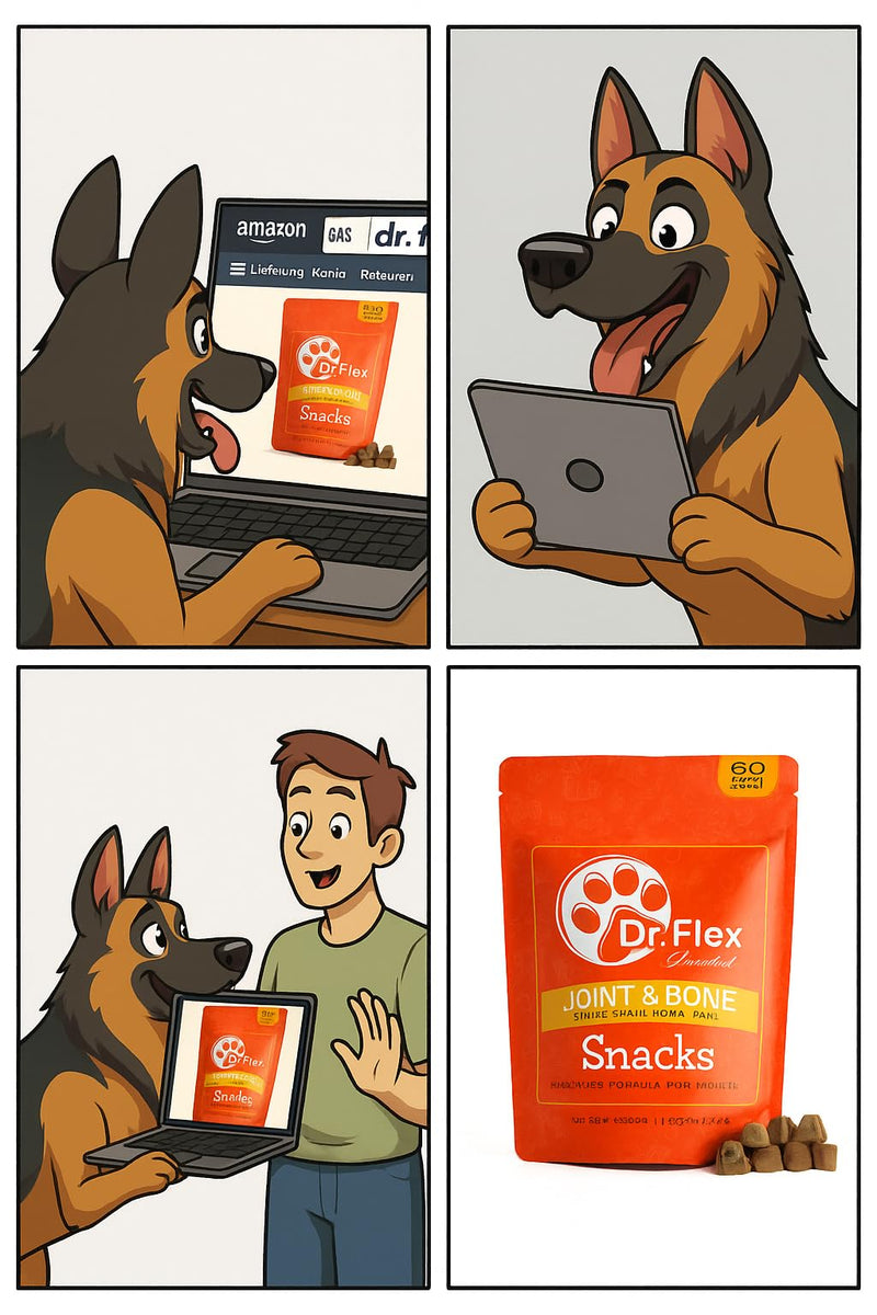 Dr. Flex Treats & Chews for Dogs - 100% Supports Joints & Bones - High Protein Chews with Vitamins C & E, Glucosamine, MSM, Hylauronic, Salmon Oil - 60 Soft Chews Joint & Bone