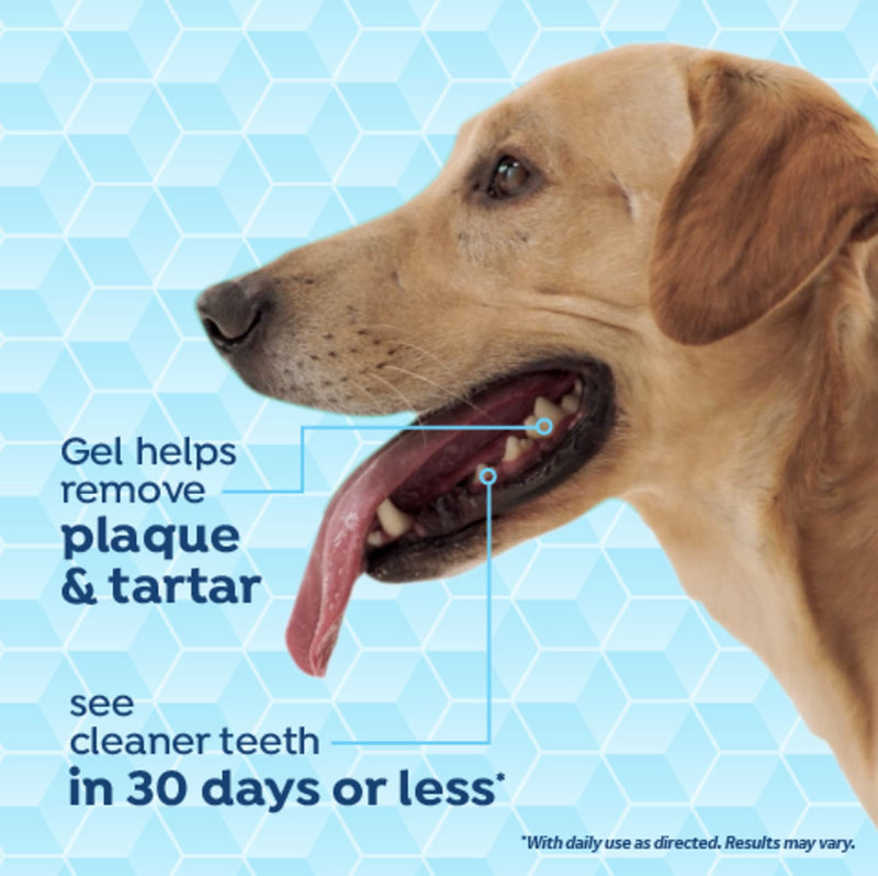 Fresh Breath Certified Wellness Collection Vet Strength Oral Care Kit for Large Dogs | Removes Plaque & Tartar | Freshens Bad Dog Breath | Teeth Cleaning Kit - PawsPlanet Australia