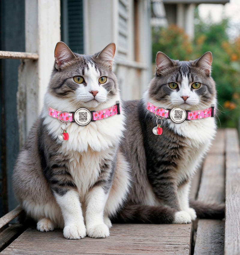 Cat Collar with QR Code, Adjustable Cat ID Collar with ID Tag, Reflective Cat Collar with Bell, Fits Small to Large Cats - BeesActive Australia