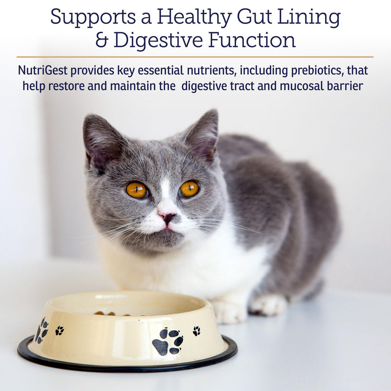 Rx Vitamins NutriGest - Cat & Dog Probiotics for Digestive Health - 4.65oz | Cat & Dog Probiotic Powder to Promote Optimal Gut Flora - Helps Manage Gastrointestinal Discomforts New Label
