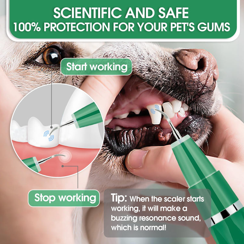 Dog Teeth Cleaning Kit with Pet Oral Spray, Dog Dental Care-Plaque Remover for Teeth, Cleans and Relieves Tooth Sensitivity, Universal for Dogs & Cats, Dark Green - PawsPlanet Australia