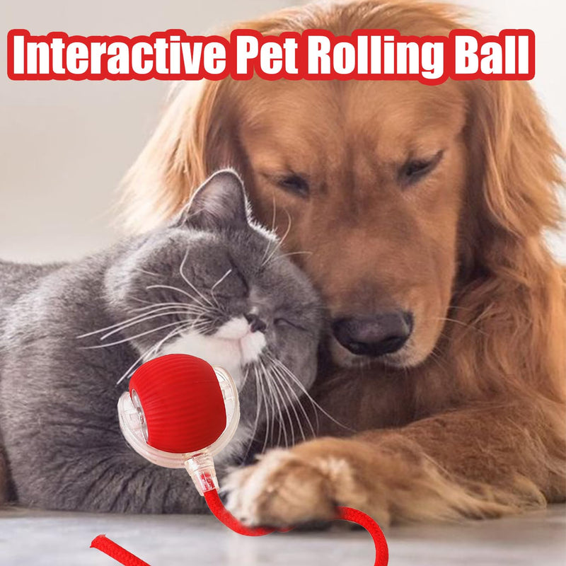 Interactive Rolling Dog Ball, Interactive Rolling Ball Dog Toy, Chewie Viral Rolling Ball, Active Rolling Ball for Dogs, 360° Smart Automatic Rolling Pet Ball(Red) (Red) Red - BeesActive Australia