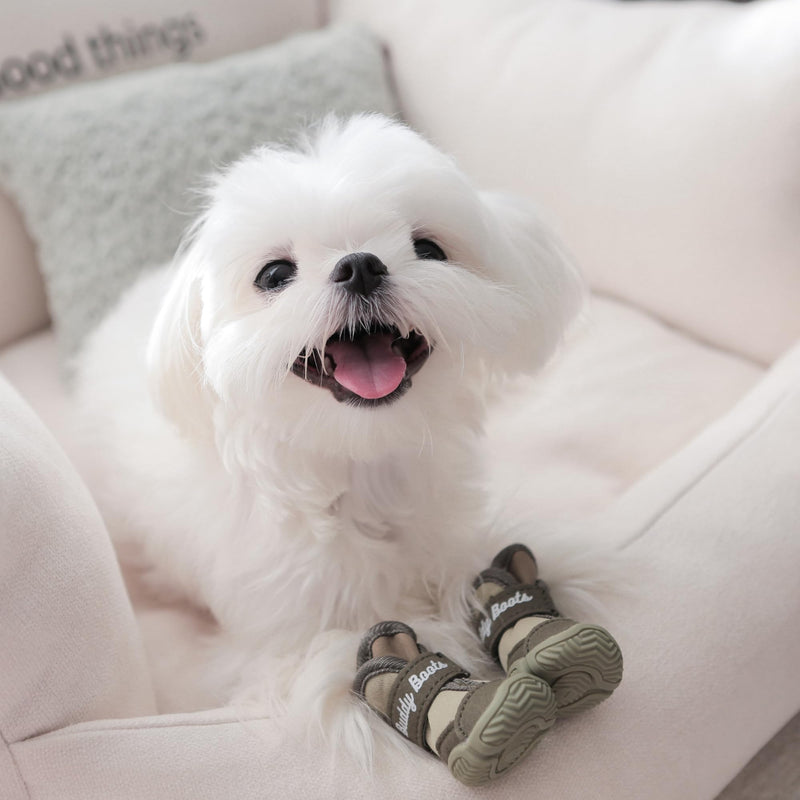 Dog Shoes for Extra Small&Small Dog, Paw Protectors for Hiking, Hot Pavement, Outdoor Walk&Run,Waterproof for Rain&Winter Snow, Anti Slippery with Rubber Sole (#1:1.496"x1.259"(L*W)) #1: 1.496"x1.259"(L*W) - BeesActive Australia