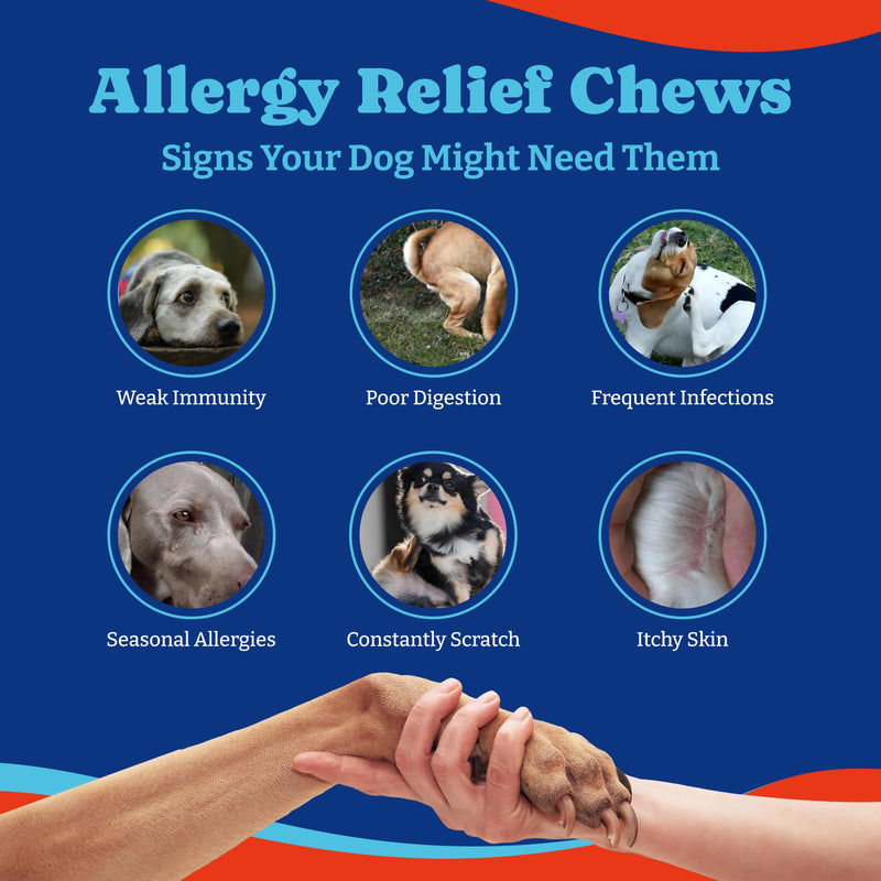 Dog Allergy Relief Chews – 180 Soft Chews, Turkey & Pumpkin Flavor - Immune Support & Itch Relief with Colostrum, Astragalus Root, 6-Strain Gut Health Blend 180 Count (Pack of 1)
