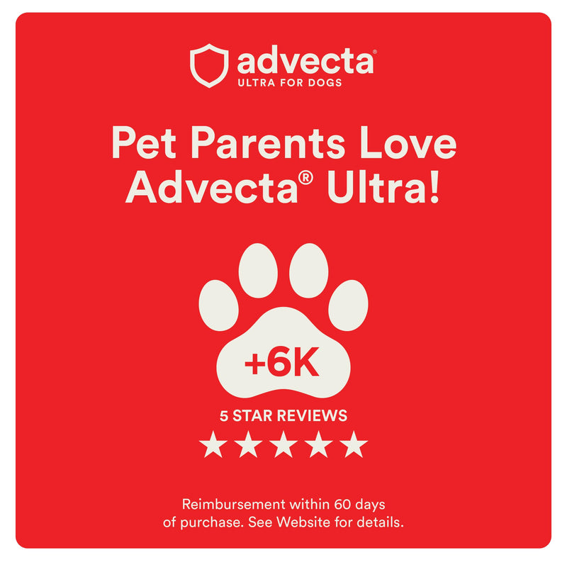 Advecta Ultra Flea and Tick Prevention for Dogs - Medium Dog Flea and Tick Treatment & Control - Mosquito Repellent - Fast Acting Waterproof Topical Drops, 2 Month Supply Medium Dogs (11-20 lbs) 2 Dose