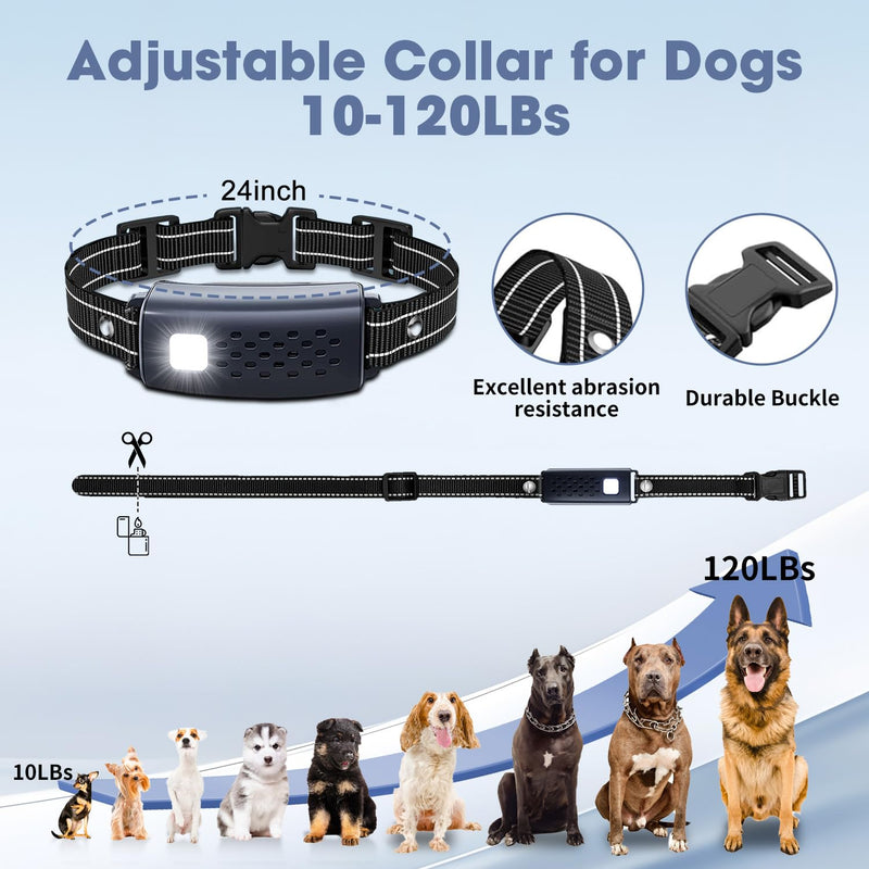 LP Dog Shock Collar - 3300Ft Dog Training Collar with Remote for Small Medium Large Dogs Rechargeable Waterproof e Collar with Beep, Vibration, Safe Shock, Flashing Light and Security Lock - BeesActive Australia