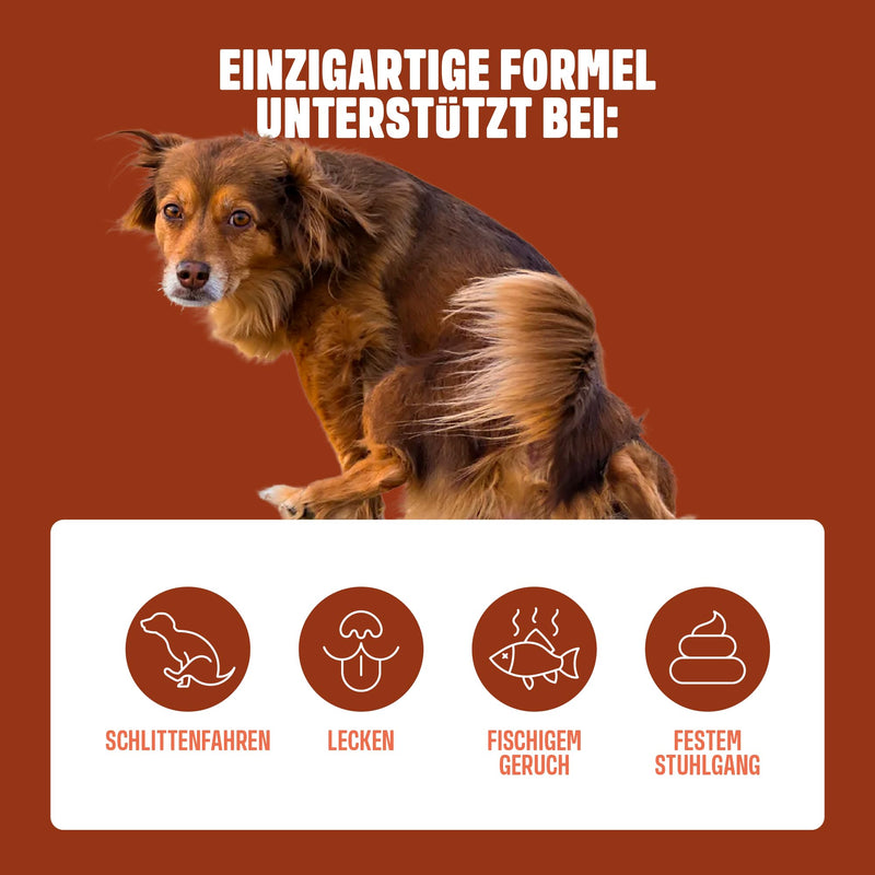 ivvi Anal Gland - snacks to support the anal glands in dogs. Contains pumpkin meat, psyllium husk, flaxseed, dandelion, nettle and prebiotics. 60 snacks (270g) with peanut butter - BeesActive Australia