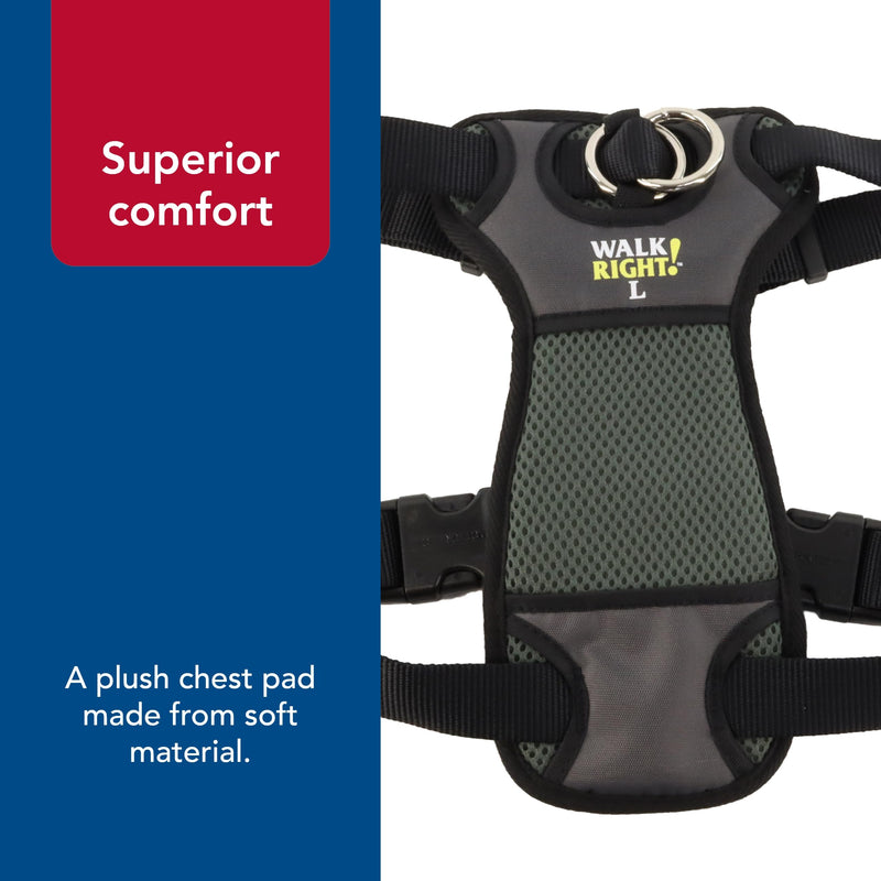 Coastal Pet Walk Right Front-Connect No-Pull Padded Dog Harness - Adjustable Dog Harness - Small & Large Dog Harness - Comfortable Harness for Dogs - Quality Dog Supplies - Black, LRG (26"-38") Large - 24"-38" girth - BeesActive Australia