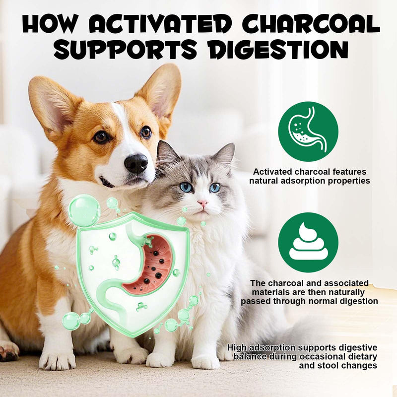 Pet Activated Charcoal Gel Gentle Digestive Comfort for Dogs and Cats Activated Charcoal Supports Healthy Stool Consistency and Intestinal Health Veterinarian Formulated Routine Hygiene Care 60ml