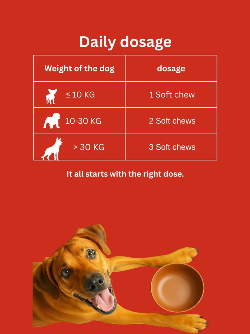 Dr. Flex Treats & Chews for Dogs - 100% Supports Joints & Bones - High Protein Chews with Vitamins C & E, Glucosamine, MSM, Hylauronic, Salmon Oil - 60 Soft Chews Joint & Bone