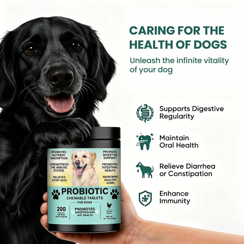 Dog Probiotics Chews, 200 Count Chicken Flavor, with Digestive Enzymes & Prebiotics, Supports Gut Health, Relieves Diarrhea, Constipation & Itching, Boosts Immunity & Oral Health for All Dogs
