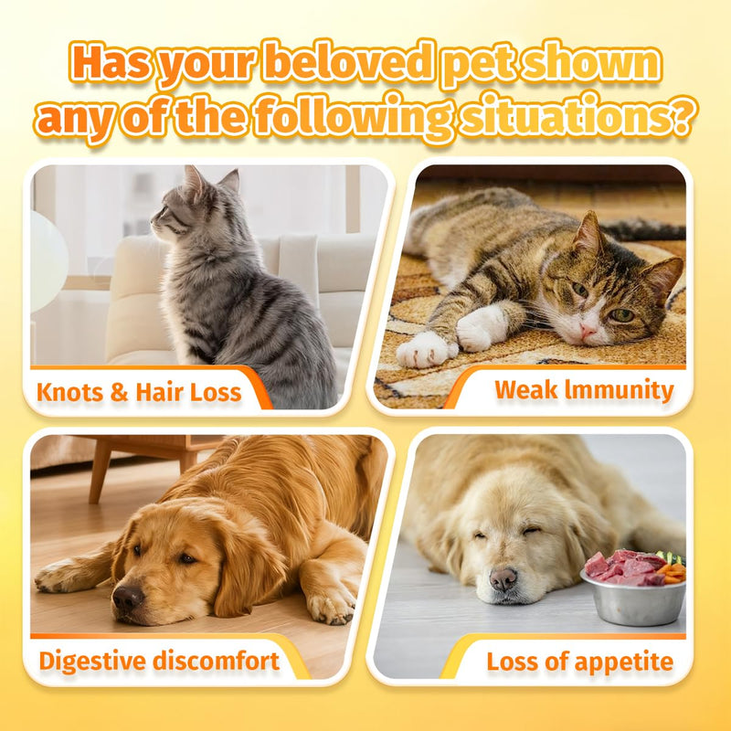 Glowfur Mix Nutritional Powder for Increase Skin & Coat Nutrition, Appetite Booster, Help with Digestion, Diarrhea, Constipation & Upset Stomach for Cats and Dogs 4.23oz (1 Box) 1 Box