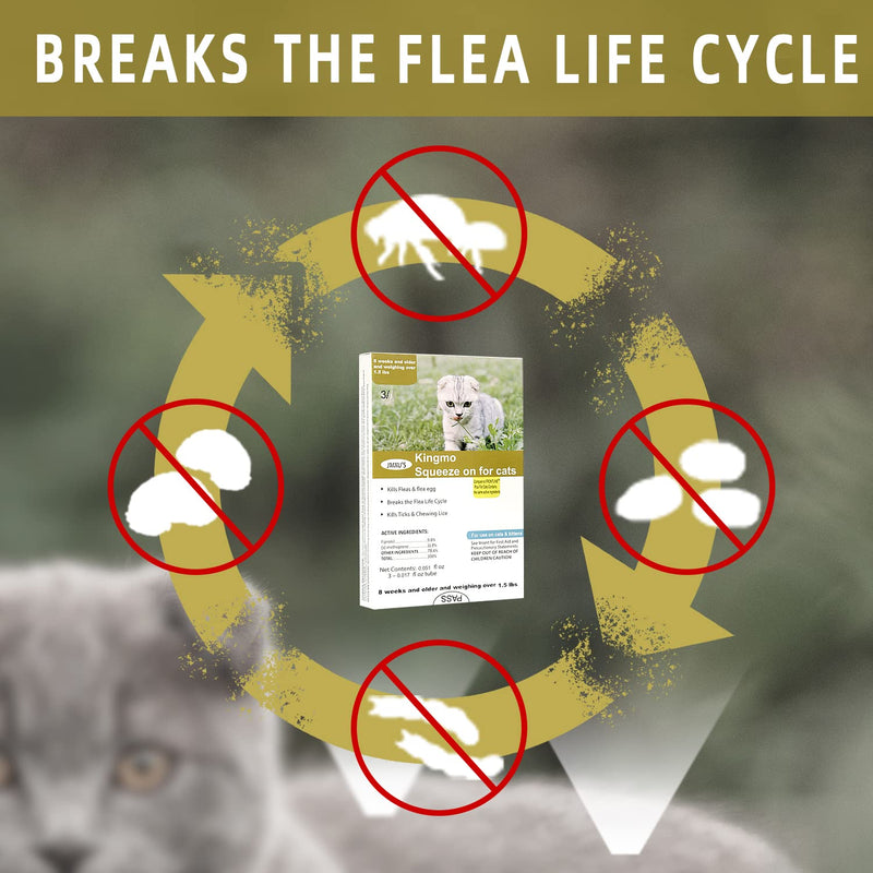Flea and Tick Prevention for Cats, Cat Flea & Tick Treatment with Fipronil, Long-Lasting & Fast-Acting Topical Flea & Tick Control Drops for Kitten, 3 Doses - BeesActive Australia