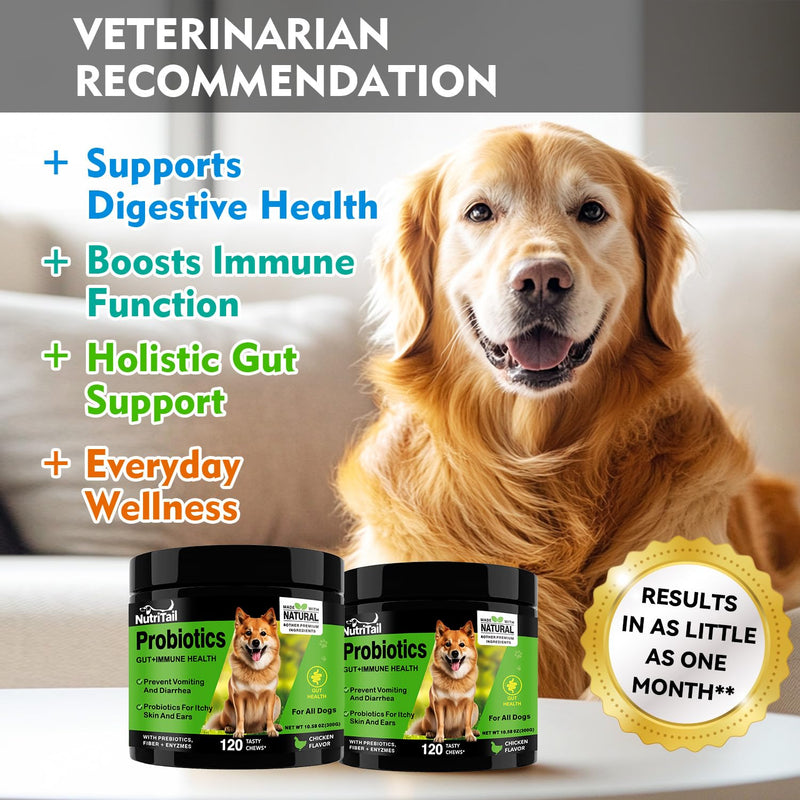 Probiotics for Dogs – Digestive & Immune Support Soft Chews with Prebiotics, Fiber & Enzymes – Relieves Diarrhea, Gas & Itchy Skin – Chicken Flavor Dog Supplement, 120 Chews