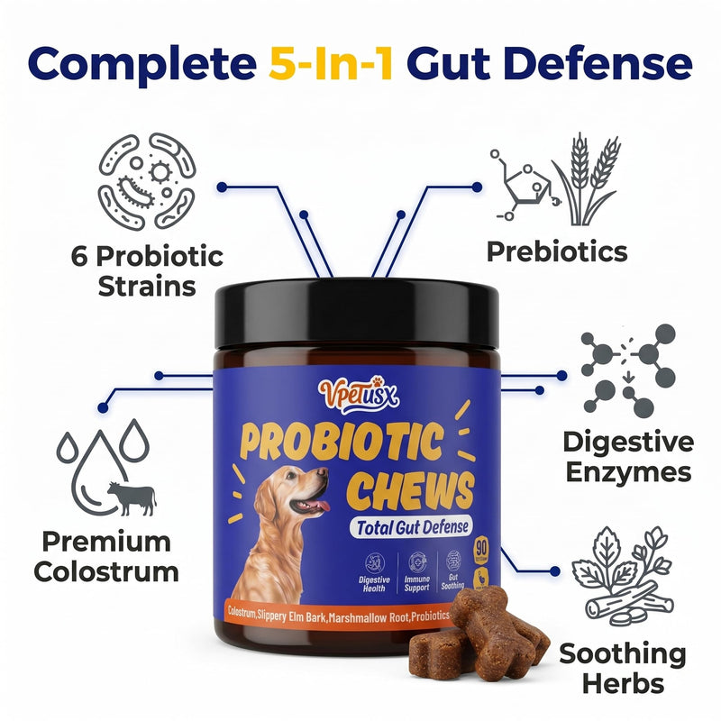 Advanced Dog Gut & Immune Support - Probiotics for Dogs Upset Stomach & Gas Relief with Pumpkin, Slippery Elm,Colostrum & Digestive Enzymes, Duck Flavor