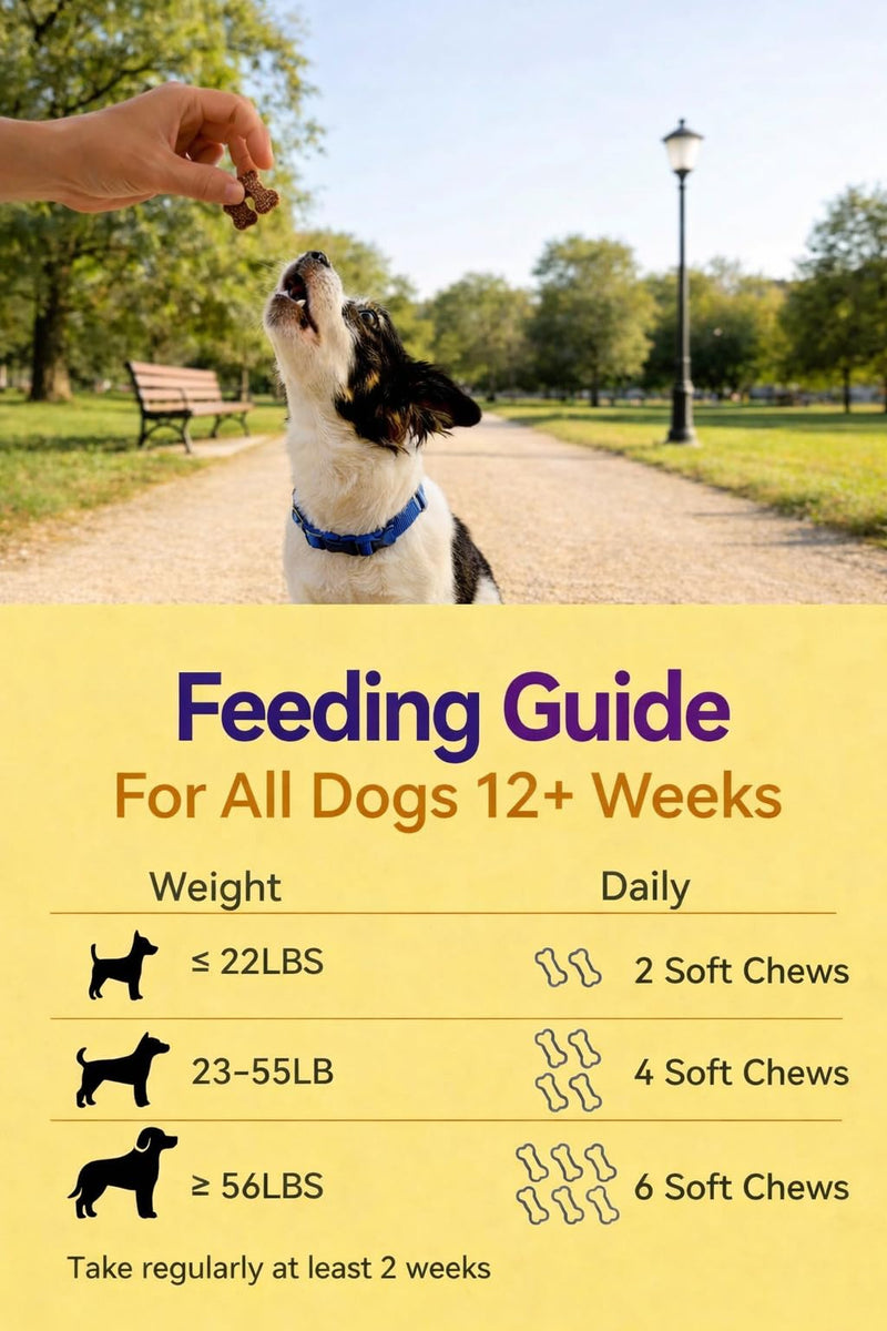 Dog Allergy Relief Chews with Quercetin, Colostrum & Probiotics, 120ct | Daily Allergy & Immune Support for Dogs, Supports Normal Histamine Response, Skin & Coat Comfort, Gut Health