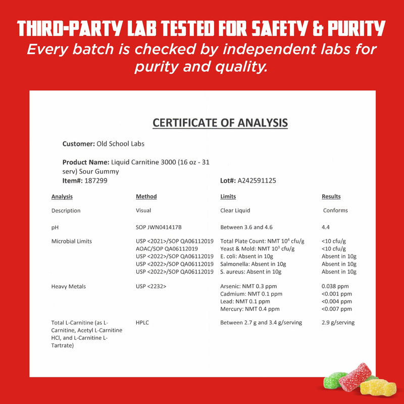Old School Labs 4-in-1 Liquid L-Carnitine 3000 Plus for Energy & Metabolism | Fast Absorbing L Carnitine Supplement with Acetyl L-Carnitine, L-Tartrate, ProGBB® & Vitamin B for Energy & Metabolism, 16oz 31 Fl Oz (Pack of 1)