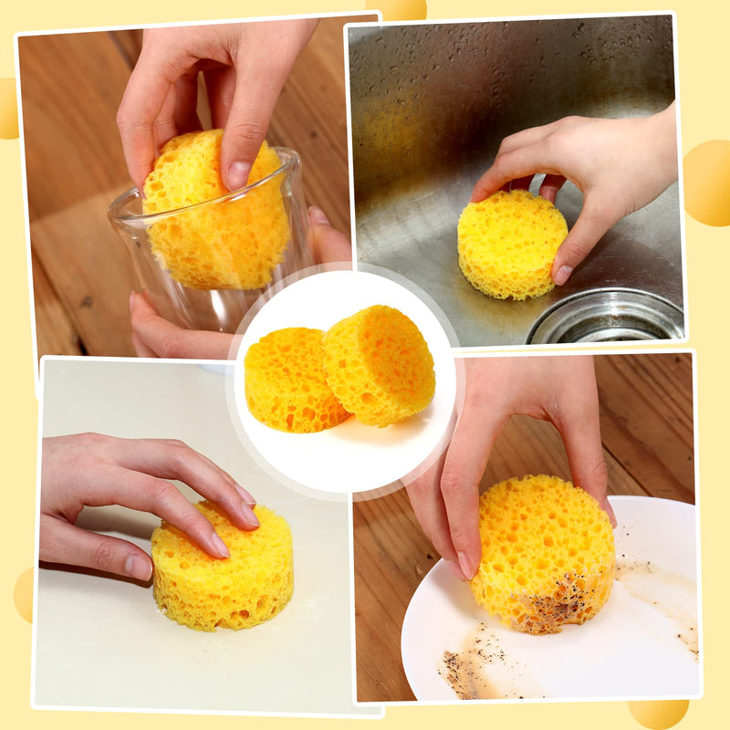 30 Pcs Tack Cleaning Sponges Horse Saddle Sponge Tack Sponges for Leather Saddle Horse Supplies Boot Crafts Ceramics Household Use and More, Medium Hole Round, 2.83 x 1.18 Inches - BeesActive Australia