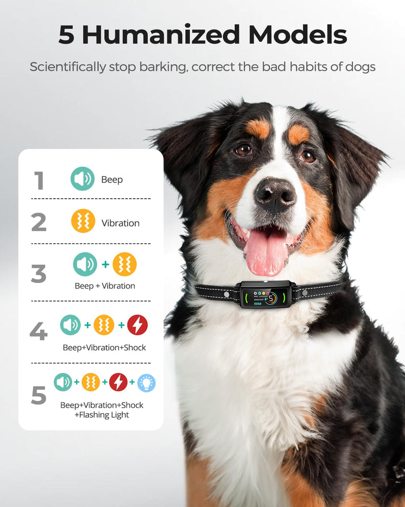 Dog Bark Collar, Bark Collar 2 Pack, Anti Barking Training Collar with Flashing Light, 5 Adjustable Sensitivity Beep Vibration, Bark Collar for Large Medium Small Dogs Black - BeesActive Australia