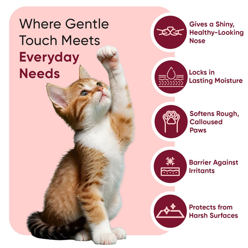 animigo Cat Paw & Nose Balm - 50ml - Snout Soother & Moisturiser - For Cracked Paws & Dry Noses - Cat Paw Balm with Almond, Extra Virgin Olive & Coconut Oil - Free from Parabens - Natural Paw Cleaner