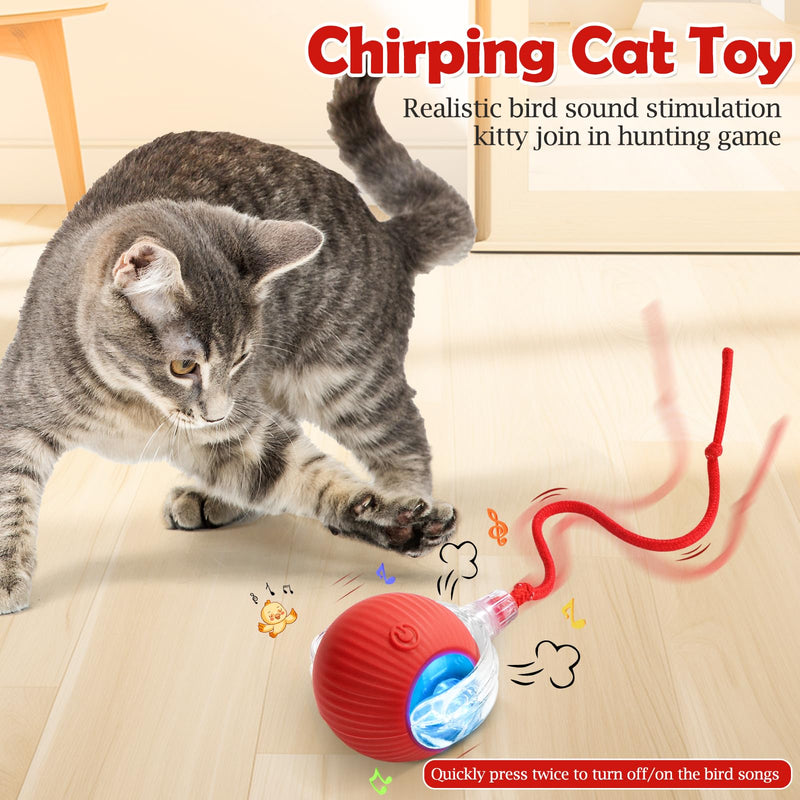 Interactive Cat Toy - Cat Toys for Indoor Cats Smart Silicone Rolling Ball with Tail,Bird Sound,Obstacle Avoidance and Motion Activated,Kitten Puzzle Toys for Bored Indoor Adult Cats & Dogs (Red) Red - BeesActive Australia