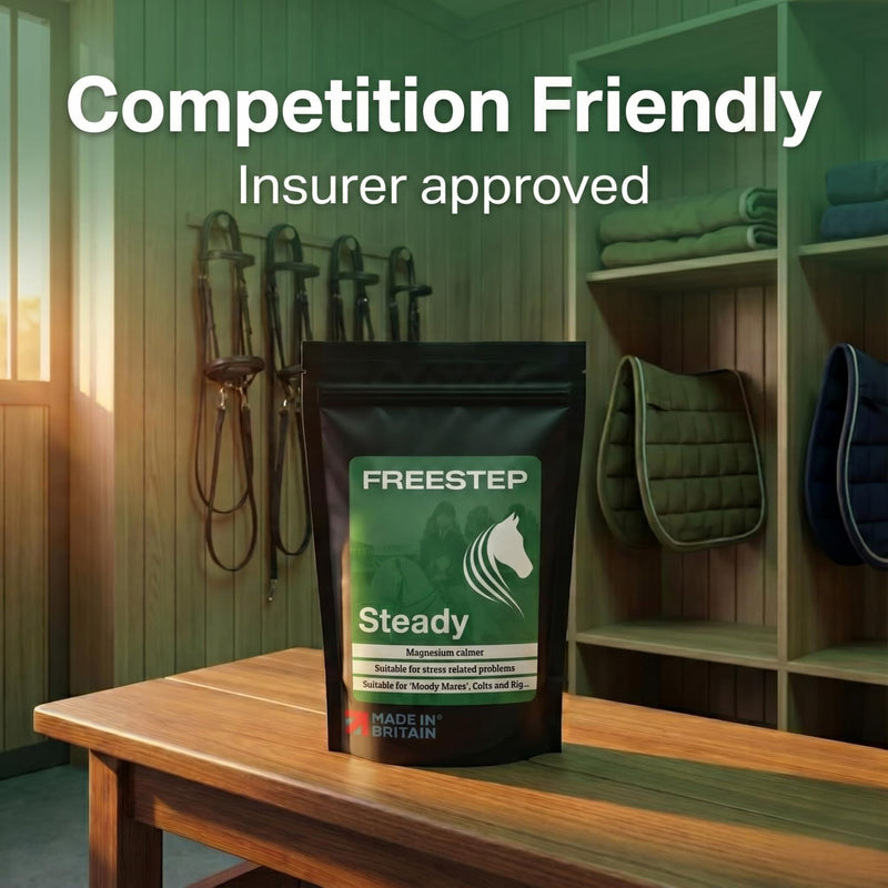 Steady | Daily Horse Calming Supplement | Magnesium, Vitex (Chasteberry) & Chamomile | Non-Sedative, Molasses-Free Magnesium Horse Calmer Powder 500g | 2 Month Supply