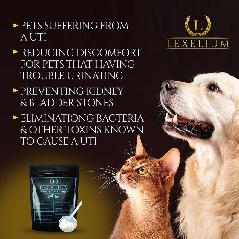 Organic Urinary Tract Infection UTI Support for Dogs and Cats - Fortified with Cranberry, D Mannose, and Curcumin - Optimizes Kidney & Bladder Function - Can Prevent Kidney/Bladder Stones - 200 G - PawsPlanet Australia