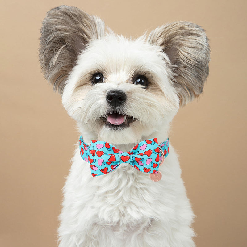 DOGWONG Valentine Dog Collar with Bow, Blue Heart Dog Collar Durable Soft Cotton Pet Dog Collar Cute Heart Valentines Day Puppy Necklace for Small Medium Large Dog Z: blue heart - BeesActive Australia