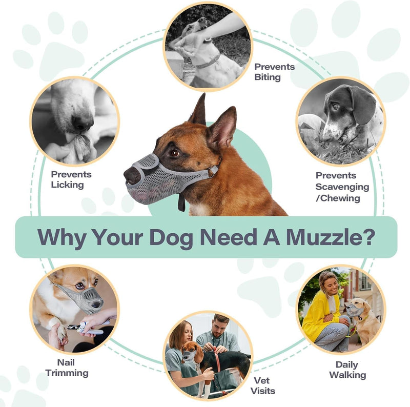 Muzzle for Dogs Muzzle Medium Dogs Muzzle for Large Dogs Muzzle Dog Adjustable Puppy Muzzles for Catching Biting, Licking and Chewing, Allows Panting and Drinking (L, Grey) - BeesActive Australia