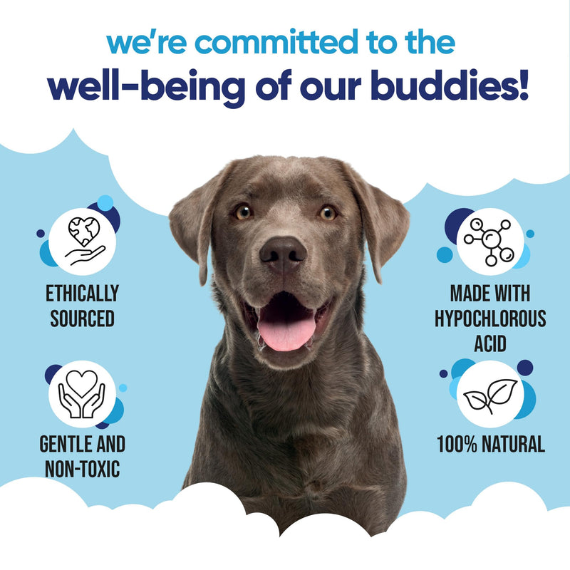 Buddycare Dog Eye Drops for Infection Vet Approved Lick-Safe Formula for Dogs & Cats to Provide Soothing to Irritated, Itchy Watery Eyes - Antibacterial, Antifungal & Antiviral Formula (60ml)