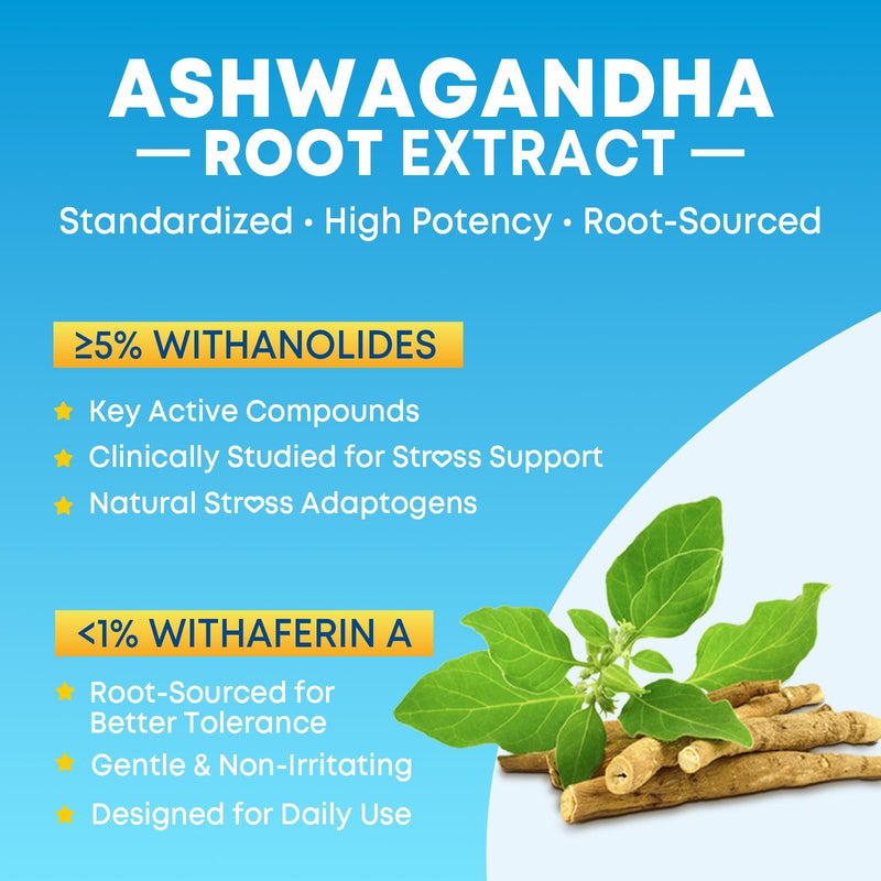 2 Pack Ashwagandha Gummies with Turmeric GABA Mood Energy and Immune Support, Mixed Berry Flavor 120 Cts 60 Count (Pack of 2)